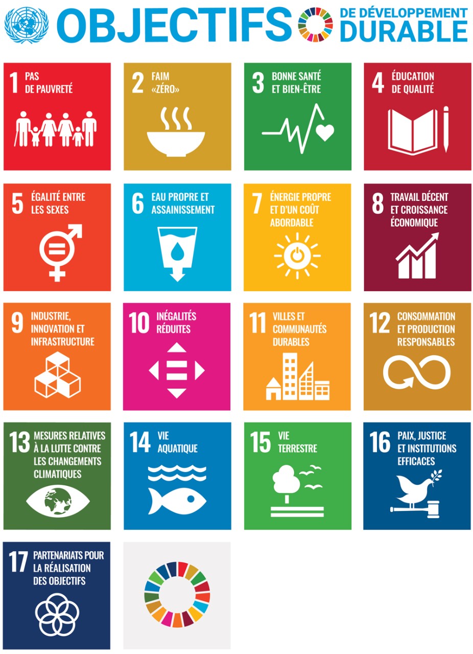 SDG_poster_ACEFSR_A3_CMYK